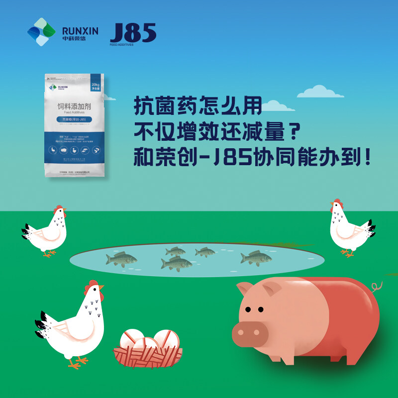 中科荣信【荣创-j85】荣获2022中国猪业抗疫增效技术创新大赛(第二季)·金奖